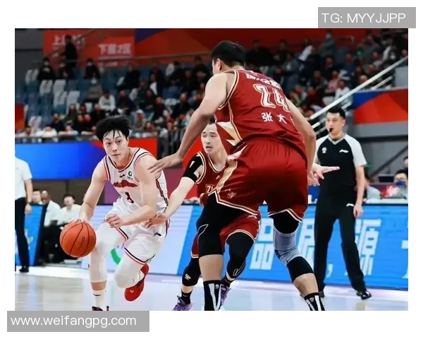 CBA球队赛季数据全景统计与战绩深度分析研究